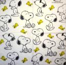 BF-078 Known Figures - 3-ply - Braun - Peanuts - Snoopy